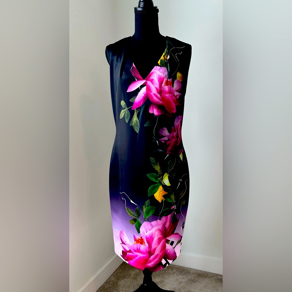 Ted Baker dress.